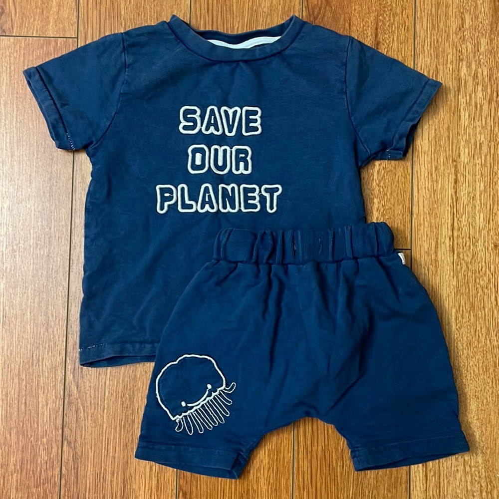 Cute Turtledove Set (3 for $25 🎁)